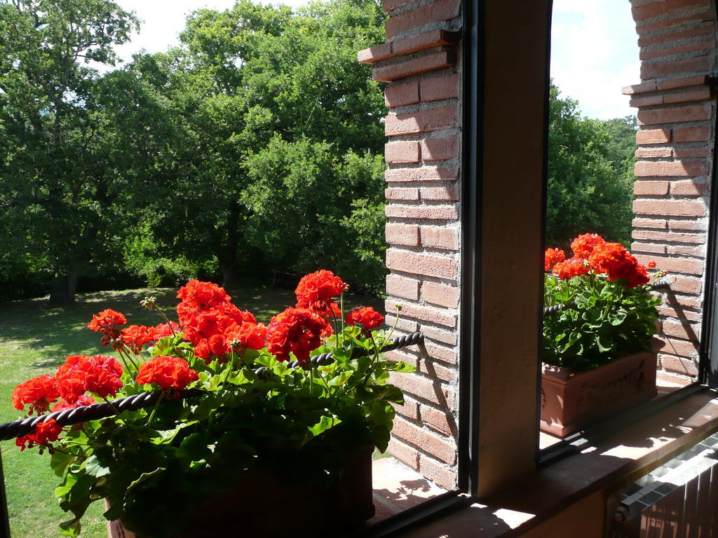 Agriturismo Colli Di Travale Montieri Номер фото