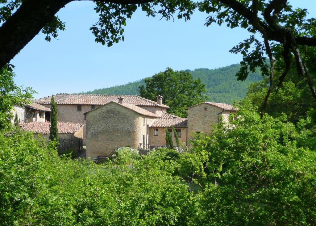 Agriturismo Colli Di Travale Montieri Номер фото